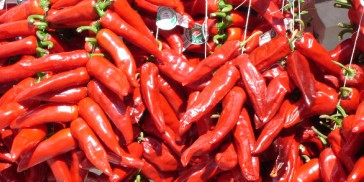 espelette-fete-piment.jpg